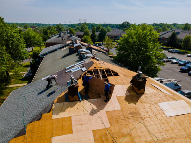 Best Flat Roof Repair Services  in Cottonde, AL